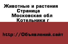  Животные и растения - Страница 25 . Московская обл.,Котельники г.